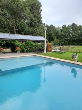 Hotels in Berkel